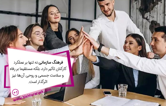 تأثیر فرهنگ سازمانی بر عملکرد و رفاه کارکنان