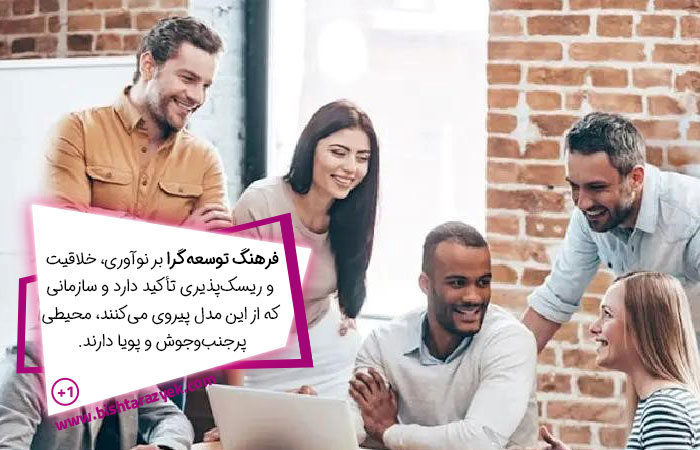 فرهنگ توسعه‌گرا (Adhocracy Culture)